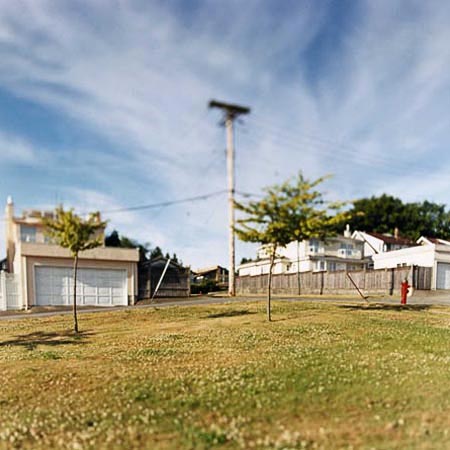 Lawn