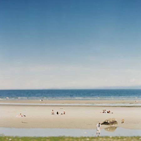 Tofino