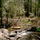Kids in Raft
