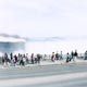 Niagra Falls